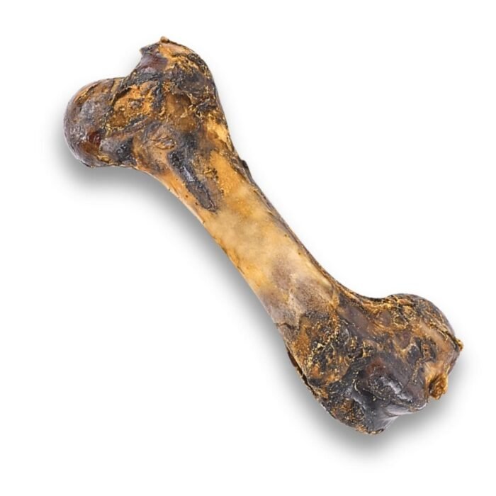 11 Fémur de cerdo deshidratado